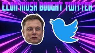 elon musk bought twitter