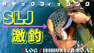 カヤックフィッシング　SLJの夏　日本の夏　スーパーライトジギングが爆釣だったよ！ひろぽんvlog fishHunterNo.47