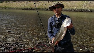 Fırat Nehri Alabalık Avı, Sürpriz Balık, Trout fishing, sis balığı(Apius vorax)