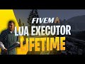 FiveM Lua Executor *How* to make money on roleplay servers | Method with Desudo | Mod Menu