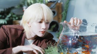 𝙋𝙡𝙖𝙮𝙡𝙞𝙨𝙩 / 세븐틴 정한 솔로곡 모음⭐