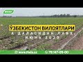 Республикамиз ҳудудлари бўйлаб ғўзанинг айни ҳолати кўриниши ва ривожланиши лавҳалари