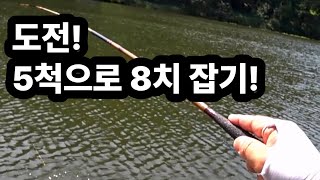 도전!  5척으로 8치 잡기!