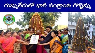 గుమ్మిలేరులో భారీ సంక్రాంతి గొబ్బెమ్మ || Sankranti || Big Gobbemma || Gummileru || Konaseema Kaburlu