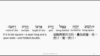 Exodus 28: Hebrew interlinear audio Bible 希伯來文聖經:出埃及記第二十八章