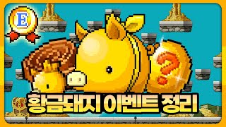 새로운 장비 부위가 나왔습니다!! 황금나침반 이벤트 정리! [메이플랜드]