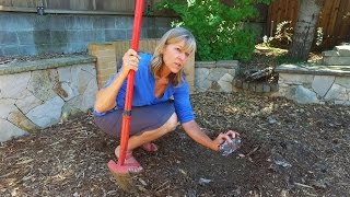 How to Get Rid of Weeds With Cardboard