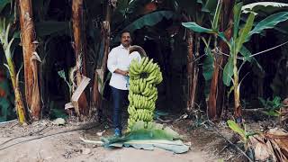 Yara Fertilizers_Agriculture Video_Kapil Jachak_Baramati