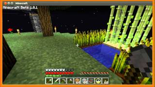Screen Capture in Linux and Minecraft