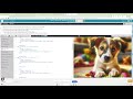 CSD Unit 2: Lesson 10 - Mini-Project - Adding Style to a Web Page (25-26)