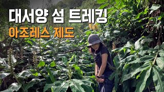 포루투갈 테르세이라의 숨겨진 숲길 트레킹, 아조레스 제도 2 - 세계여행(43)