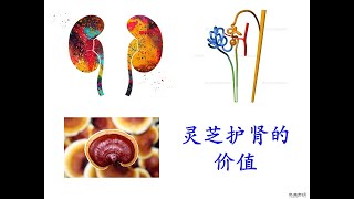 Webinar 网络研讨会 - 灵芝护肾的价值