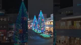 Tokorozawa Station Illumination - Winter Lights Japan 2025