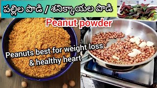 Peanut powder recipe | శనిక్కాయల పొడి |పల్లీల పొడి| how to make peanut powder | groundnut karam podi