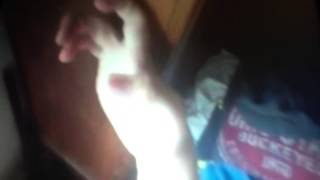 Robespierre bites Tuck