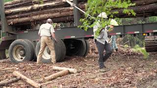 Private Landowner and Logger - Ken Martin