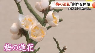 大津町の伝統民芸品『梅の造花』制作を体験【熊本】 (25/02/18 19:00)