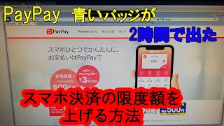 PayPayの青いバッジを2時間で出す方法 ペイペイのお買い物上限が5万円から25万円にアップした