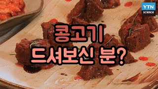 [핫클립] 콩으로 만든 고기 어떻게 요리할까? / YTN 사이언스