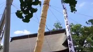 諏訪神社 御柱祭り 2016