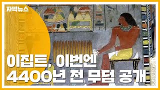 [자막뉴스] 이집트, 이번엔 4400년 전 무덤 공개 / YTN