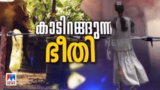 ഒറ്റയാന്‍ പിടി സെവന്‍ വീണ്ടും ജനവാസമേഖലയിലിറങ്ങി | PT7| Palakkad