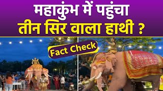 Fact Check: Mahakumbh 2025 Three Head Elephant Viral Video Truth Reveal | तीन सिर वाले हाथी का सच