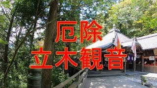 厄除けではないけど【立木観音】お参りしてきた！