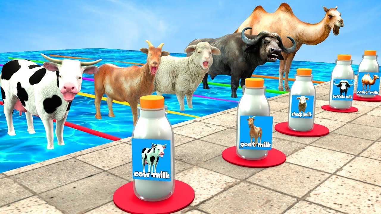 Mystery Pool Challenge With Cow Buffalo Goat Camel Sheep Don't Choose ...