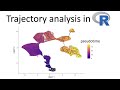 Single-cell trajectory and pseudotime analysis with Monocle3 and Seurat in R