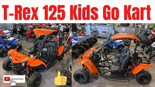 Apollo Vitacci T Rex 125 Go Cart Review In Baja Style Orange