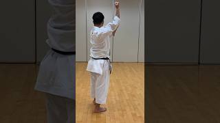 平安五段#heiangodan #jump#空手 #karate #kata #shotokan #training #空手 #形 #kumite #松濤館 #セミナー