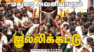 🔴LIVE : மதுரை அவனியாபுரம் ஜல்லிக்கட்டு | Madurai JalliKattu | Avaniyapuram | Live