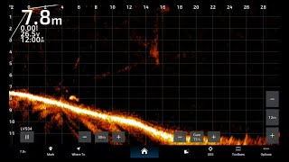 massive murry cod on live scope (only got the one at 68cm)