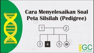 Penyelesaian Soal Peta Silsilah (Pedigree)