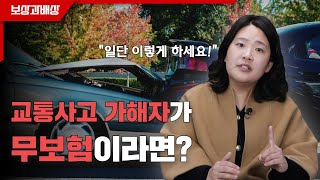 교통사고 가해자가 무보험이라면 어떻게 대처해야할까?(1265회)