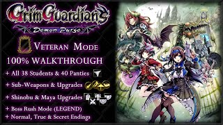 Grim Guardians: Demon Purge [PC] - Guide 100% / Veteran Mode / All Collectibies