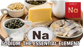 Sodium : The Essential Element Explained
