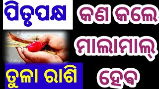 ପିତୃପକ୍ଷ ରେ କେଉଁ ଉପାୟ କଲେ ପିତୃଦୋଷ ସମାପ୍ତ ହୋଇ ଘରେ ଧନ ସମୃଦ୍ଧି ବଢ଼ିଥାଏ।pitru Paksha।pitru dosha remedy