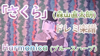 「さくら」 (森山直太朗) を ハーモニカで一生懸命吹いた桜の季節 / ドレミ楽譜 Harmonica Sakura (ブルースハープ)