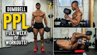Full Week Of Workouts: Push, Pull & Legs (Dumbbell & Bench) #1