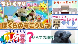 【総合知育番組】第１回「どうぶつ くらべっこ」