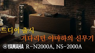 야마하가 작정하고 만든 플레그쉽 올인원 인티앰프 와 스피커 청음영상 / YAMAHA R-N2000A , NS-2000A 스피커 청음영상