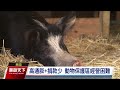 高通膨加上捐款銳減 美動物保護區陷經營困境｜20240428 全球現場漫遊天下