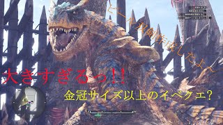 イベントクエスト 巨大ティガレックス(幻の轟竜???)討伐　【MHWI:モンスターハンター ワールド・アイスボーン】