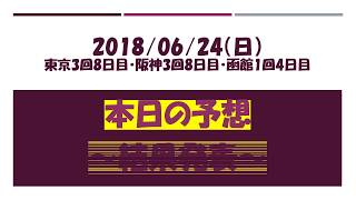 2018 06 24日 【着順・払戻】 中央競馬 東京3R 3歳未勝利　競馬予想　シャンボールナイト