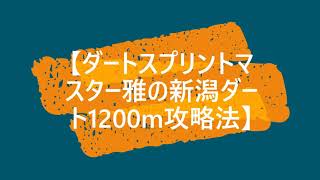 NST賞回収率驚異の〇〇〇％！！！【新潟ダート1200m予想のスペシャリスト】