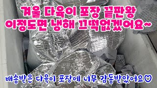 겨울 다육이 배송 포장 끝판왕 / 이정도면 냉해 끄떡없겠어요 /다육이 배송포장이 감동입니다/분째 배송되서 겨울엔 더 좋아요 / #다육이 #다육이언박싱 #다육이안전배송