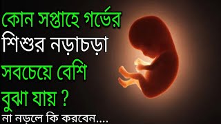 গর্ভের শিশুর নড়াচড়া | কত মাসে বাচ্চার নড়াচড়া বুঝা যায় | Fetal movement in womb | Baby movement