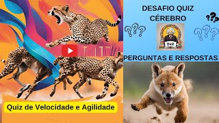 DESAFIO! Animais Super Rápidos: Quem é o Mais Veloz? Quiz de Velocidade Melhor vídeo teste prova TOP